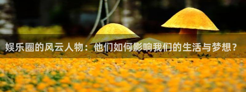 狗子28赏金国际下载：娱乐圈的风云人物：他们如何影响我们的生活与梦想？