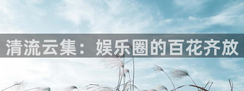 狗子28游戏：清流云集：娱乐圈的百花齐放