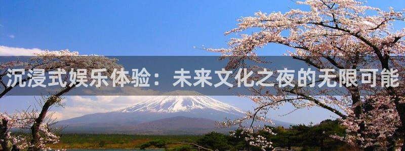 狗子28游戏官网入口注册：沉浸式娱乐体验：未来文化之夜的无限可能