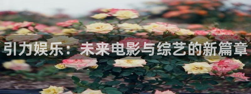 狗子28pg电子游戏：引力娱乐：未来电影与综艺的新篇章