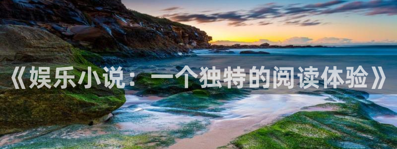 狗子28游戏：《娱乐小说：一个独特的阅读体验》