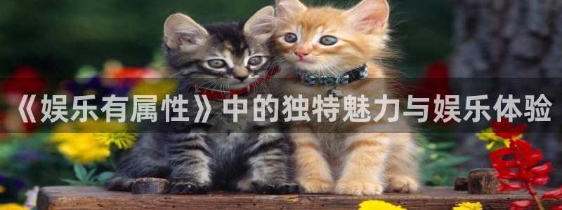 狗子28pg游戏官网版：《娱乐有属性》中的独特魅力与娱乐体验