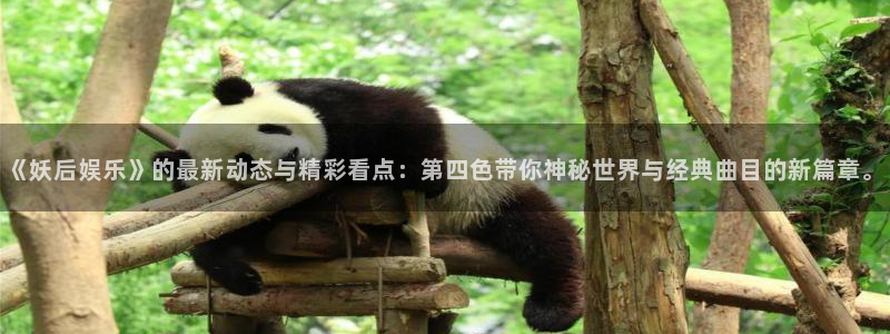 狗子28.ccmpc：《妖后娱乐》的最新动态与精彩看点：第四色带你神秘世界与经典曲目的新篇章。