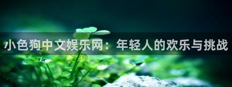 狗子28pg下载入口：小色狗中文娱乐网：年轻人的欢乐与挑战