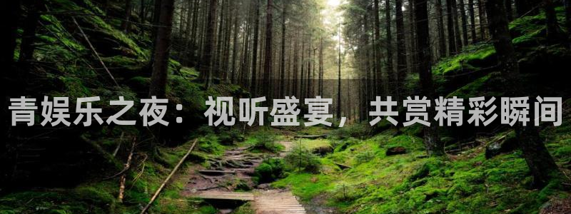狗子28pg游戏官网版：青娱乐之夜：视听盛宴，共赏精彩瞬间