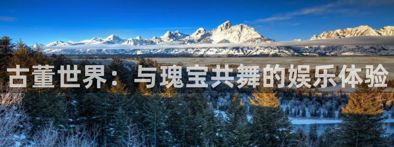 狗子28链接：古董世界：与瑰宝共舞的娱乐体验