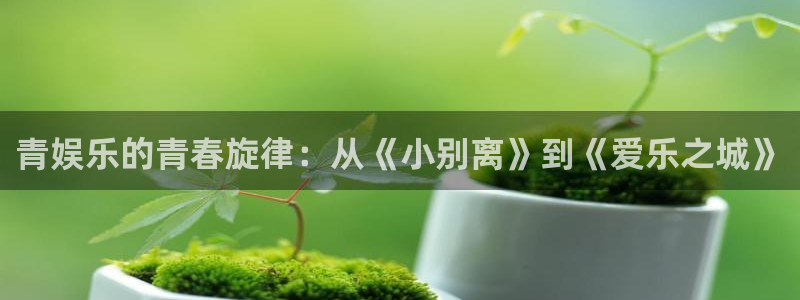 狗子28pg游戏官网版：青娱乐的青春旋律：从《小别离》到《爱乐之城》