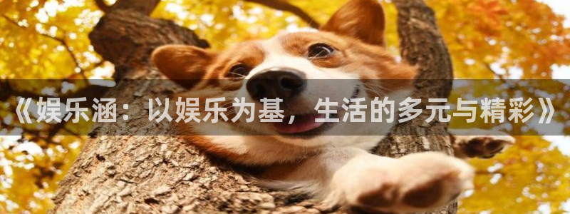 狗子28平台：《娱乐涵：以娱乐为基，生活的多元与精彩》