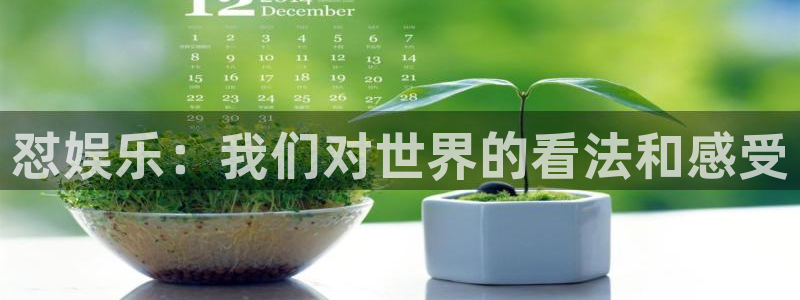 狗子28平台：怼娱乐：我们对世界的看法和感受